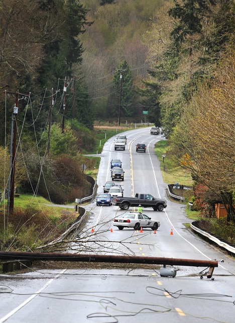 Utility crews are on scene replacing a pole that was knocked down by a tree falling across lines at milepost 20 on State Route 104