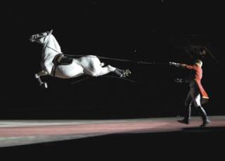 The most acrobatic of the Airs Above the Ground — the Capriole. See a full-list with descriptions and video at www.lipizzaner.com.