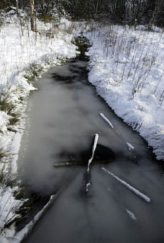 Local environmental officials say the recent snow runoff is not a major concern for local streams like this one in Central Kitsap near State Route 303.