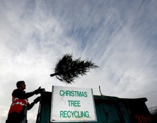 Kitsap County’s Christmas tree recycling program will start the day after Christmas and run through Jan. 15.