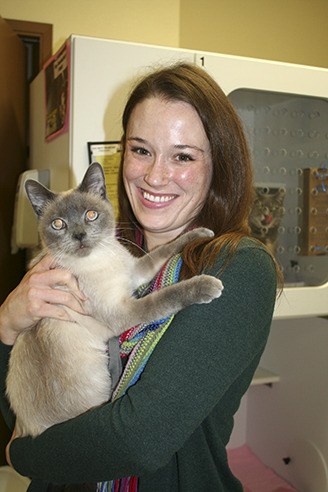 KHS volunteer coordinator Sarah Moody takes a cat break.