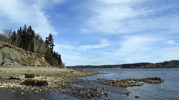 This portion of west Port Gamble Bay shoreline was acquired from Pope Resources by the Kitsap Forest and Bay Project. Kitsap County is now the owner.