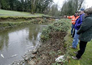 Onlookers check out the work recently completed on the first phase of the Chico Creek restoration project.