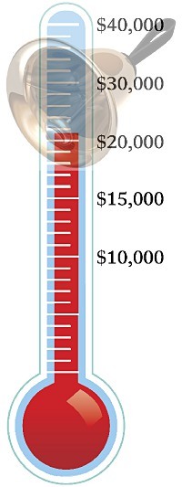 The Poulsbo Lions / Raab Foundation Bellringer Fund is about $7