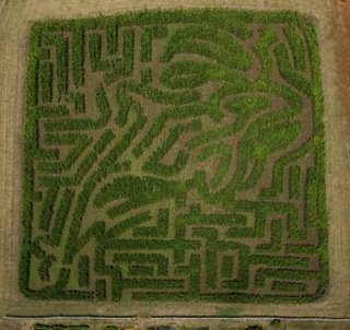 This corn maze at Sunrise Hill Farm off Tulin Road is open for adventurers this month.