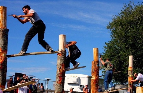 A spate of lumberjacks compete in last year's springboard chop.