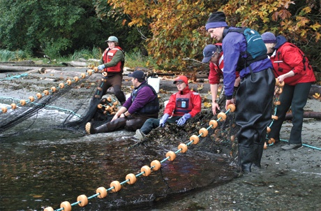 Study peers into North Kitsap waters