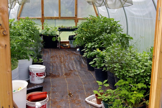 A hoop house is one method of keeping plants warm during the cold season.