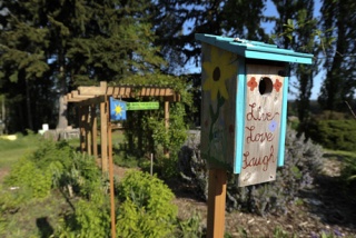 Gardening efforts have sprouted throughout the North End.