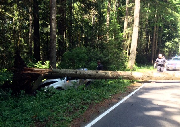 A car crashed into a tree on Totten Road June 11. Shortly after