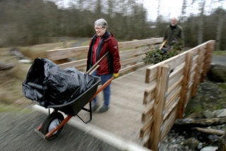 Master Gardeners Peg Tillery and John Mikesell make their way across a bridge in Poulsbo's Fish Park Wednesday with a variety of native plants to help secure a shoreline. The Master Gardener program is part of the WSU Extension office.