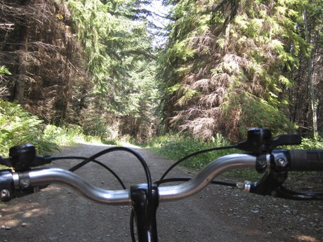 Mountain biking in the Olympic Resource Management-owned woods outside Port Gamble can be rewarding and trying. Be safe and bring plenty of water