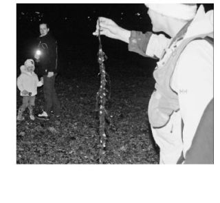 University of Washington Sea Grant biologist Jeff Adams led the first Peopld for Puget Sound low-tide moonlight beach walk Dec. 11 in Bremerton