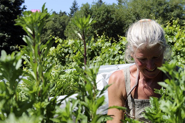 Persephone Farm co-owner Rebecca Slattery weeds a vegetable bed Aug. 5.