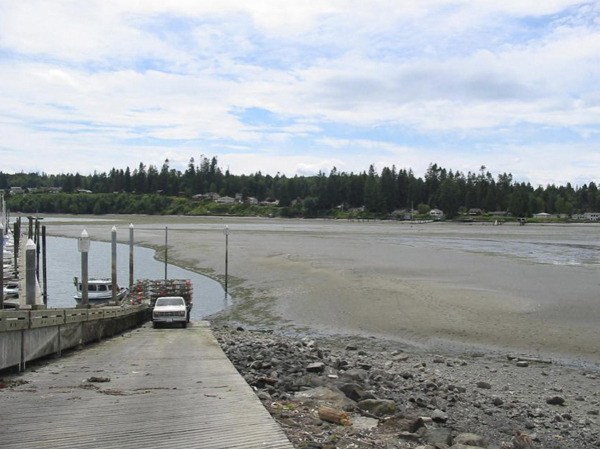 Sedimentation buildup urged the port's need for a maintenance dredge for Appletree Cove. Staff hopes to dredge in January.