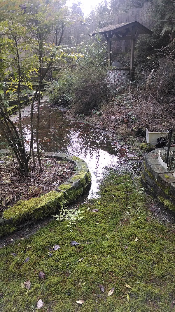 What is thought to be storm water runoff flows through Barbara Wilhite's backyard.