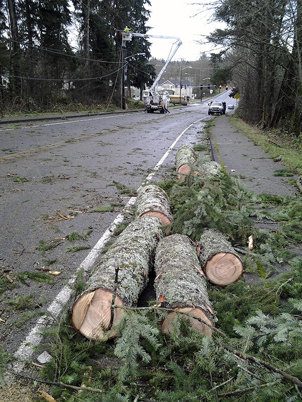 Potelco crews repair power lines on Lincoln Road north of Caldart Avenue