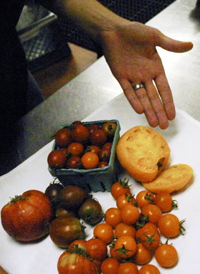 MorMor Bistro head chef John Nesby let us into his kitchen last week to check out the menagerie of tomatoes being grown locally.