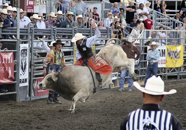 Wednesday night's Xtreme Bulls event at the Kitsap County Fair drew a big crowd and featured plenty of excitement.