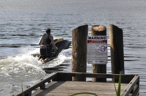 A jet skier skims past a well-marked pier at Kitsap Lake in Bremerton. Kitsap Public Health has advised all visitors to the lake to avoid contact with the water due to a recent toxic blue-green algae bloom.