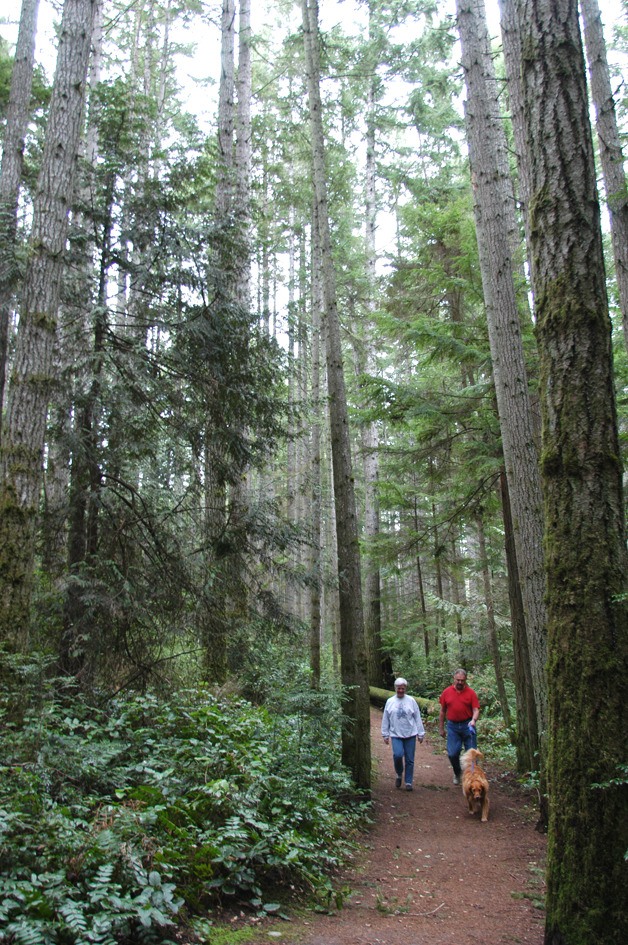 A public hearing Monday night on Kitsap County’s proposed Forest Stewardship Policy elicited several comments from citizens in support of the plan.