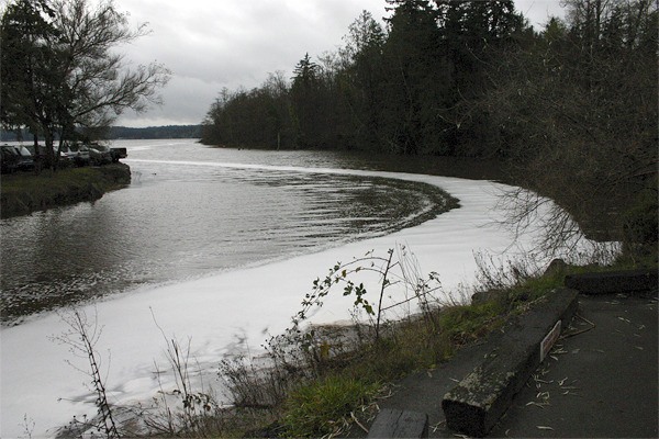 A stream of seafoam seen flowing into Dogfish Creek next to Liberty Bay Auto (on left) the morning of Dec. 6.