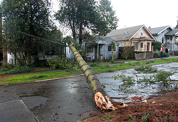 A large tree branch lays across power lines near a home on Gregory Way in Bremerton March 1. High winds wrought havoc on roads and power and communication lines. Many roads in Kitsap County were closed due to fallen trees. Blocked roads were at NW Holly Road between Lake Tahuyeh Road and Longhorn Drive; Chico Way at Country Lane; Lewis Road at Peter Hagan Road; and at NW Hintzville Road between NW Seabeck Holly Road and One Mile Road