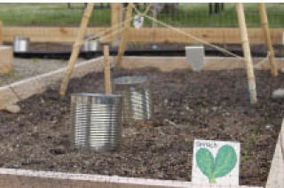 Kitsap Community Resources’ new vegetable garden is designed to help kids and their families learn about food. The vegetable garden is located at the Park Avenue KCR location.