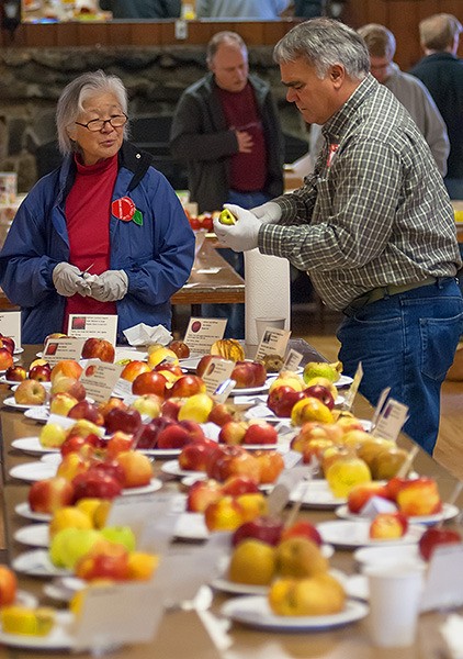 More than 200 fruit samples surround Susan Anderson of Silverdale