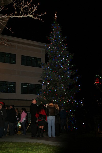 The lighting of the community Christmas tree Saturday evening in front of City Hall was a highlight of the annual Festival of Chimes and Lights.