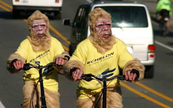 Two Echelon Gran Fondo staff members rode around Kingston Saturday morning dressed as Sasquatch