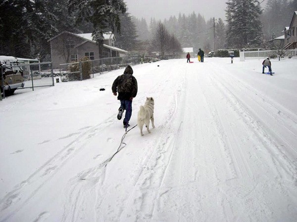 Jessica Schmidt of Kingston took this photo of sledding action Wednesday morning.