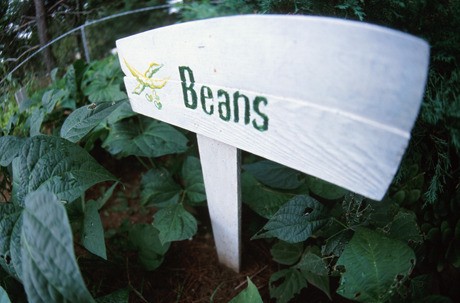 It's time again for the annual planting of the vegetable garden.