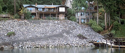 Engineering fixes to landslides often result in serious impacts to shorelines and habitat. This project buried the beach and eliminated a forested slope.