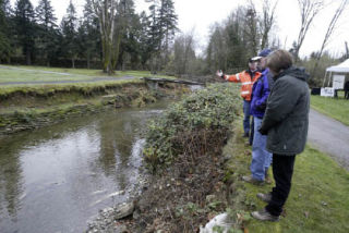 Onlookers check out Chico Creek during a celebration last year. A new online program will allow salmon viewing from the computer.