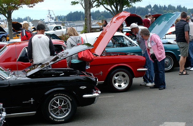 Admirers cruise the Port Orchard waterfront to inspect hundreds of new and classic Mustangs at a previous Mustangs on the Waterfront event.