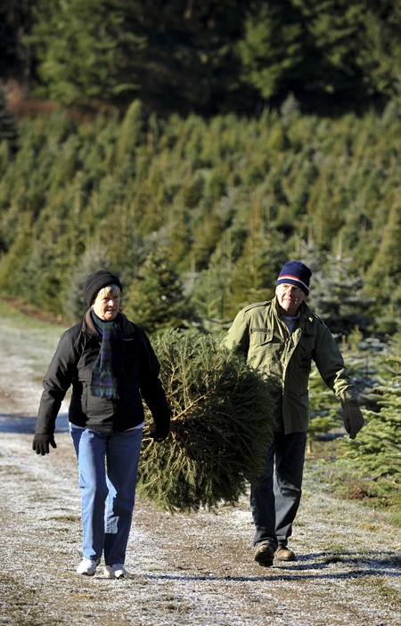 Indianola residents Justine and John Jacobsen at Henry's Tree Farm in Kingston.