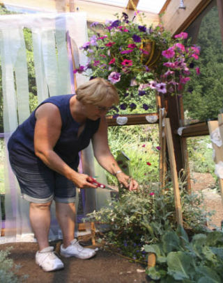 Master Gardener Roxanne Moye trims plants in the butterfly habitat at Anna Smith Children’s Park in Central Kitsap. The official ribbon-cutting for the habitat is at 11 a.m. tomorrow.