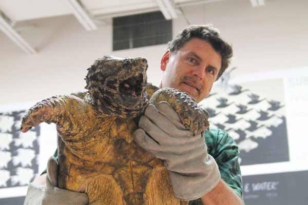 Scott Peterson shows off a snapping turtle to the students of Gordon Elementary June 4 in the Multipurpose Room during a school assembly.