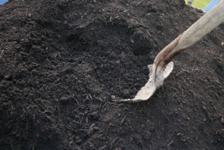 A truck load of Olympic Mountain Fish compost