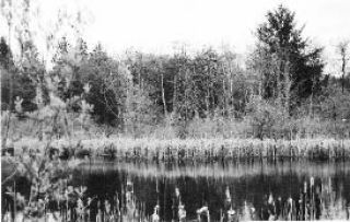 Carpenter Lake a peaceful place to visit.