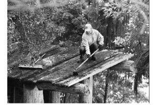 Hampton Hotels volunteer Ryan Gilhuly scrapes the roof of the info booth of the Suquamish Old Man Park. The Hampton Hotel Save-A-Landmark program brought over 25 volunteers to refurbish the community park.