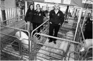 Sisters Helen and Audry Wytko and Chris Wade are all smiles with their hams that hopefully brought in the big bucks at today’s auction.