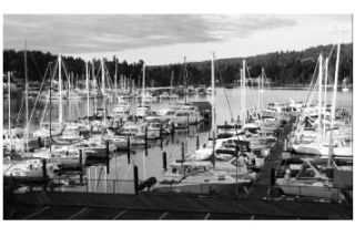 The marina at Gig Harbor.