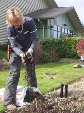 Silverdale Water District Groundskeeper Christi Hickerson works on one of the several gardens at the district’s headquarters. The gardens showcase many different kinds of plants native and non-native to the region and help people choose greenery for their own gardens.