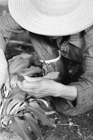 Cooler weather doesn’t mean it’s time to hang up your gardening shears. Once fall weather sets in