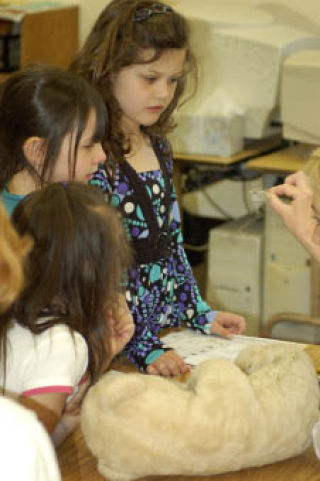 Students at Sylvan Way Christian Schools examine “evidence” they collected while investigating a case during the school’s first-ever Mystery Science week.