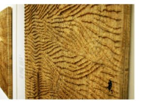 (Above) Looking from afar at one of Keogh’s newsprint reliefs. (Inset) A close up of the detail.