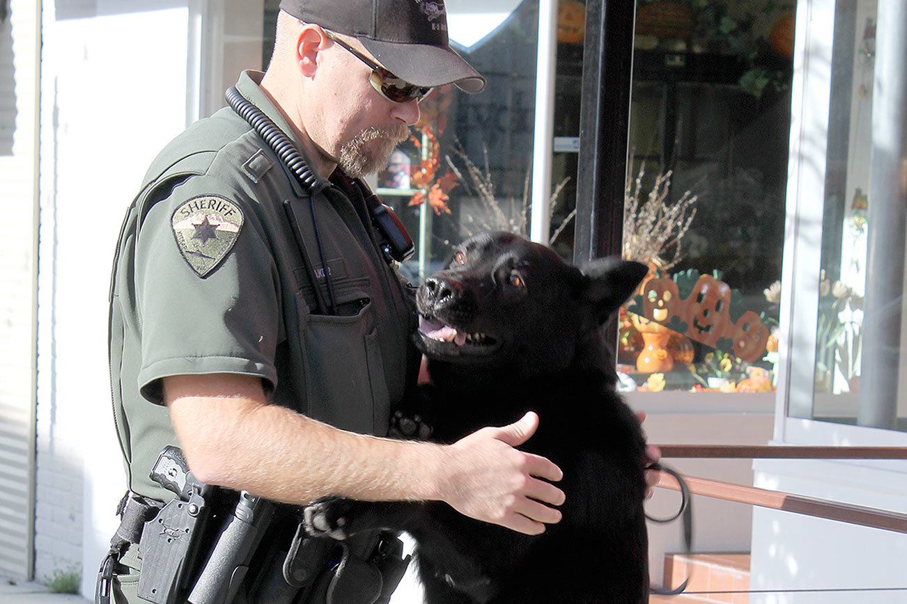 Kitsap County Sheriff’s Office utilizes their K-9 units for tracking purposes.                                Michelle Beahm / Kitsap News Group