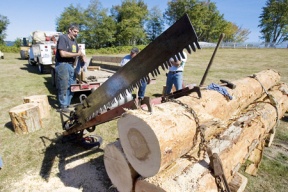 Forest Festival makes the cut in Port Gamble